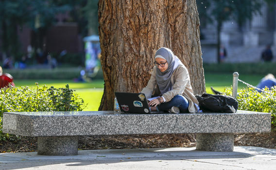 Image of a person in a hijab sitting cross-legged on a bench outside and looking down at a laptop.